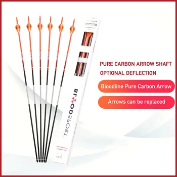 

3/6/12/24pcs Archery Professional Bow And Arrow Accessories Carbon Arrow for Recurve/Compound Bows Traditional Hunting Shooting