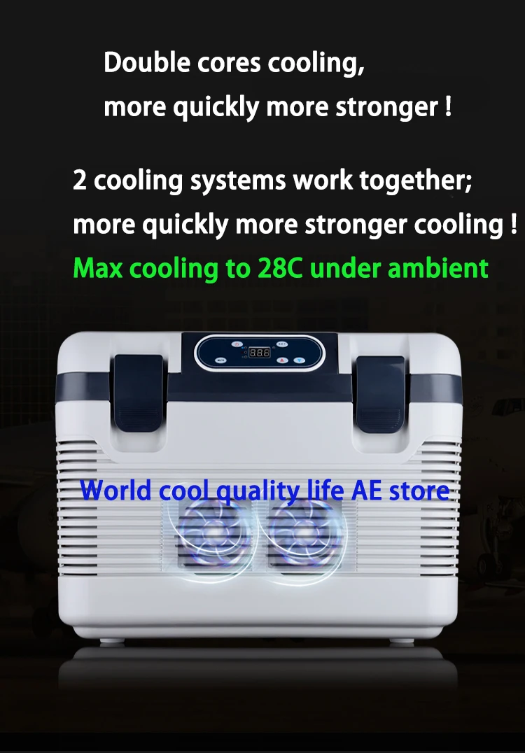 19L Outdoor RV Camping Picnic Thermoelectic Cooler and  Warmer Freezer AC1 DC Portable Mini Fridge  Car Home Refrigerator alpicool fridge