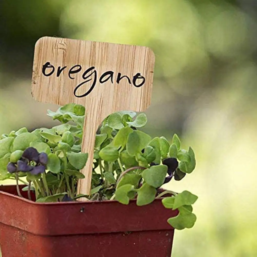 10Pcs Plant Labels Decorative Stable Wear-resisting Wooden Garden Insert Decorations for Home | Дом и - Цена: 63,31 руб.