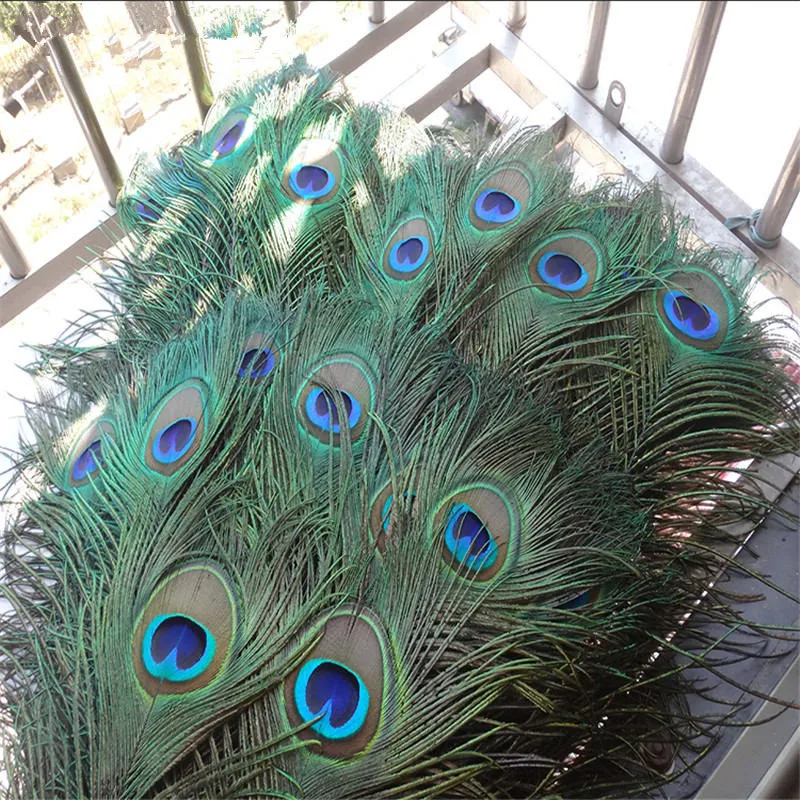 Plumas Naturales De Pavo Real De Ojos Grandes De 60-70 Cm, 50/100
