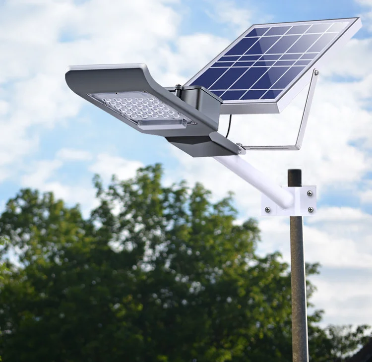 8616061207_844780571