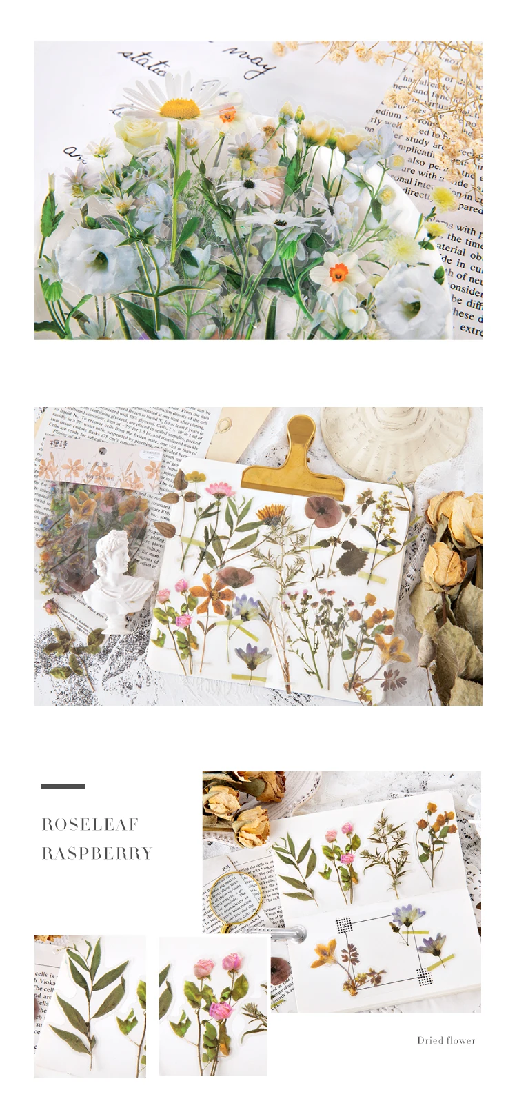 aeProduct.getSubject() https://img.alicdn.com/imgextra/i4/2447980417/O1CN01atdtrG1Ex1iHxyuFP_!!2447980417.jpg_.webp