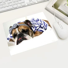 かわいい犬の壁紙が超お買い得 Aliexpress モバイルで 世界のかわいい犬の壁紙 セラーの かわいい犬の壁紙が素晴らしい割引価格に かわいい犬の壁紙が超お買い得 Aliexpress モバイルで 世界のかわいい犬の壁紙 セラーの かわいい犬の壁紙が素晴らしい割引価格に