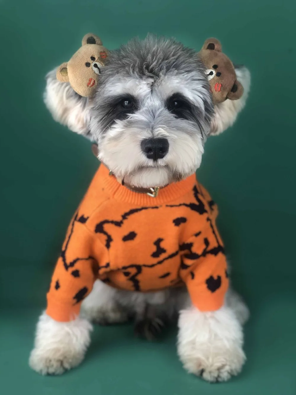 微信图片_20191114221025