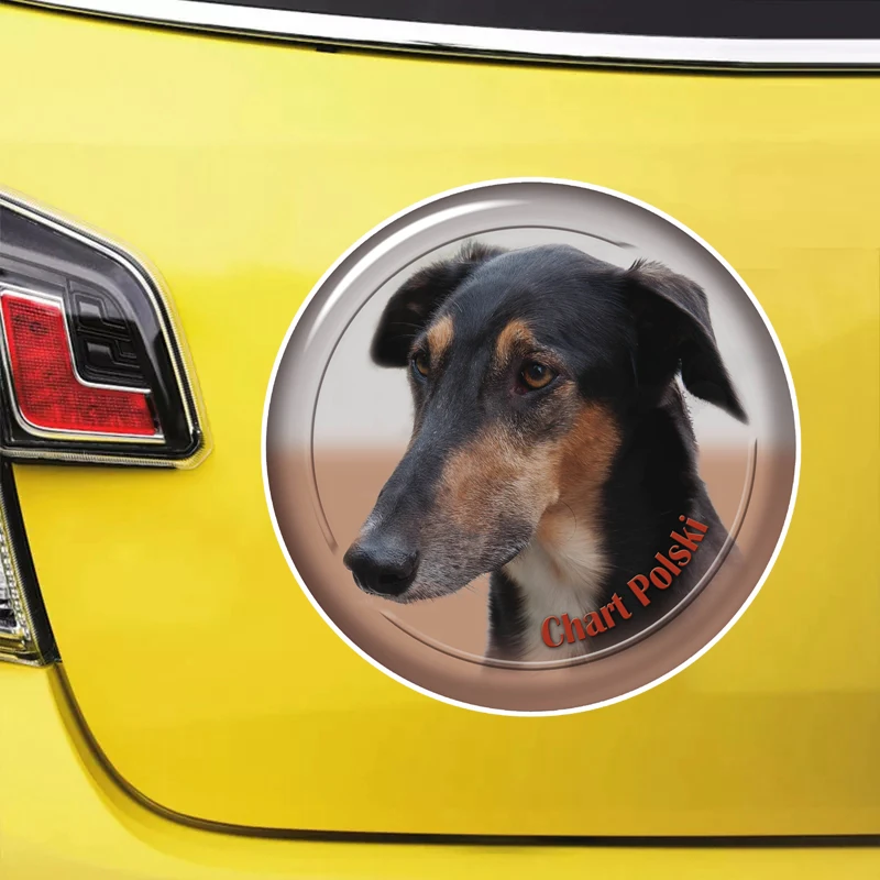 

S62105# Chart Polski Dog Self-adhesive Decal Car Sticker Waterproof Auto Decors on Bumper Rear Window Laptop Choose Size