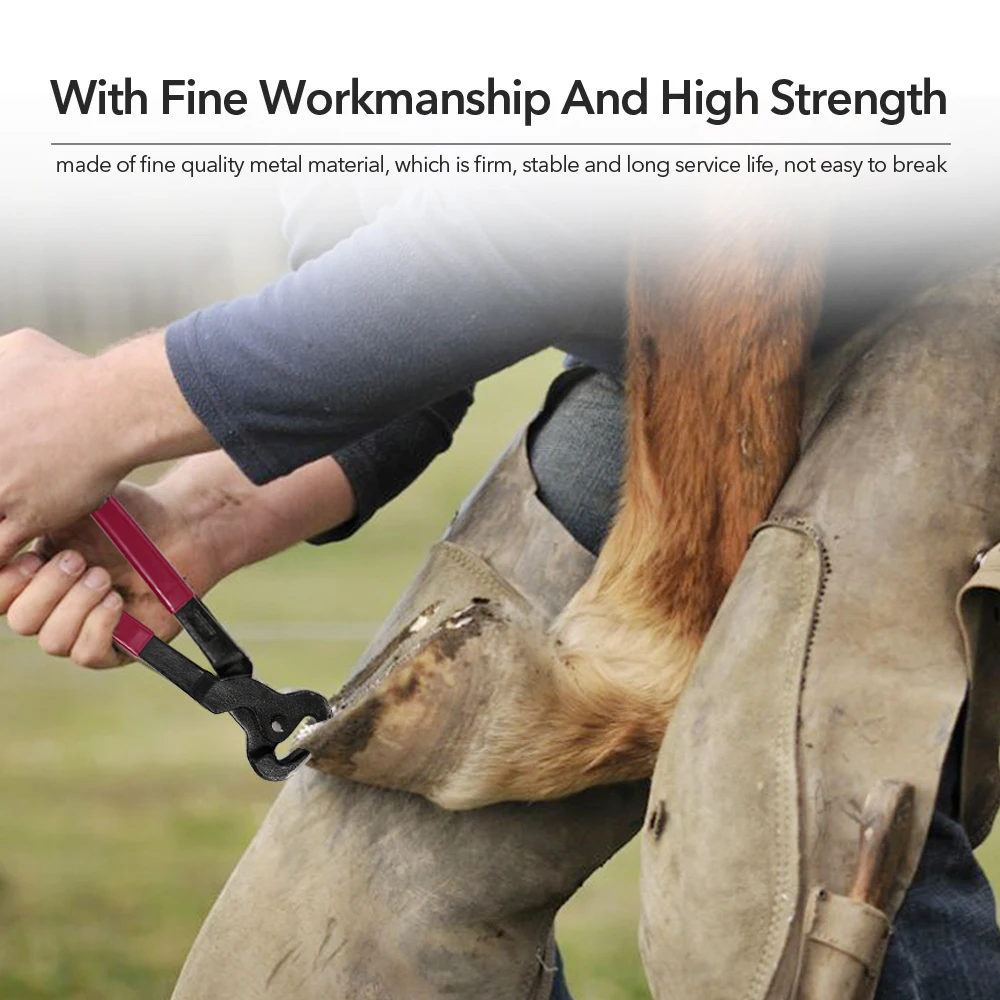 4PCS Portable Hoof Nipper Trim Shoeing File Rasp Handle Hoof Cutter Tool Horse Care Accessory Tool Kit