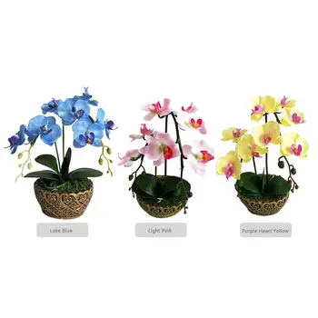 

Indoor Bonsai Green Plant Artificial Flower Phalaenopsis Potted Dried Flower Manufacturer Everlasting Flower Bonsai Set