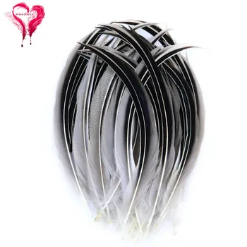 

Good Quality Natural Pheasant Feathers for Wedding Decoration Favor Plumas Decoration Accessory Length 4-6inches
