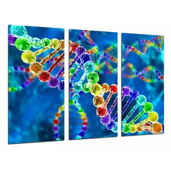 

Biology, Science, Chromosome Chain DNA Colors, photo print on wood, modern picture decorative 26929