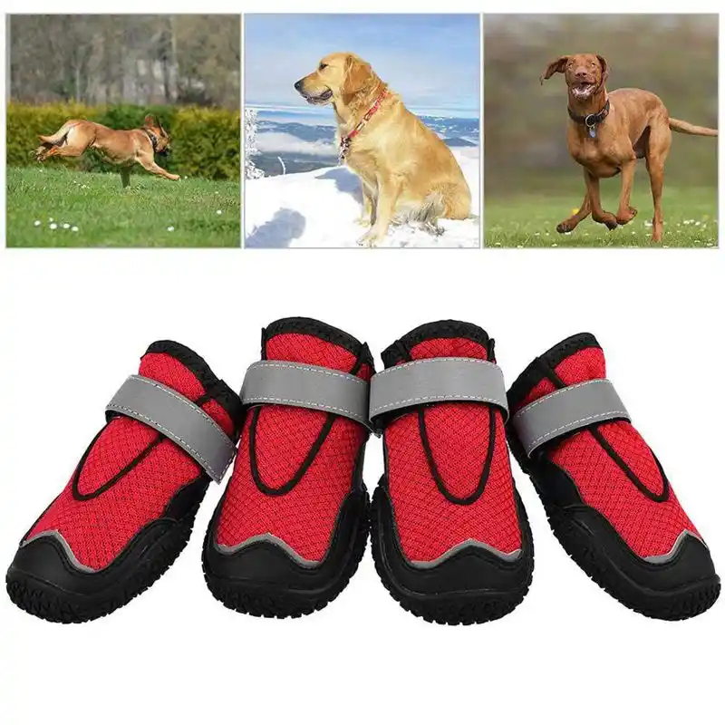 best dog walking boots