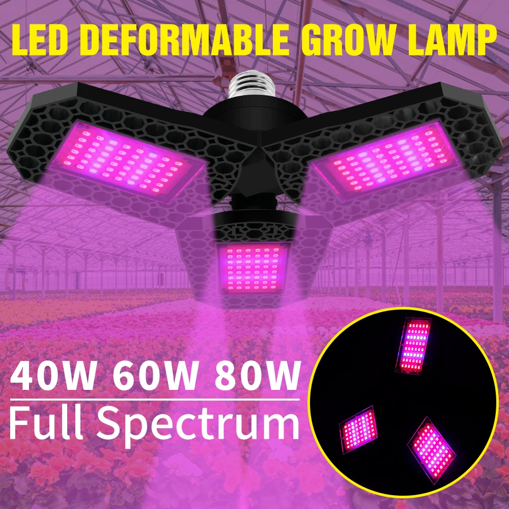 

E27 Grow Light Full Spectrum LED Bulb 40W 60W 80W Indoor Growing LED Hydroponics Kit 220V Plant Lamp Growth LED Phytolamp 110V