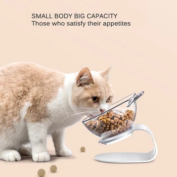 

Transparent Cat Bowl with Raised Stand Tilted Angled Anti-slip Pet Feeder for Cats Puppy Double Bowls Stand Pet Food Water Bowls