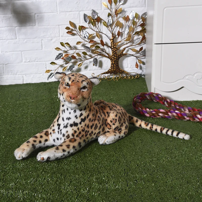 H5c3128461a4f4aa187d145936e3bce9fv