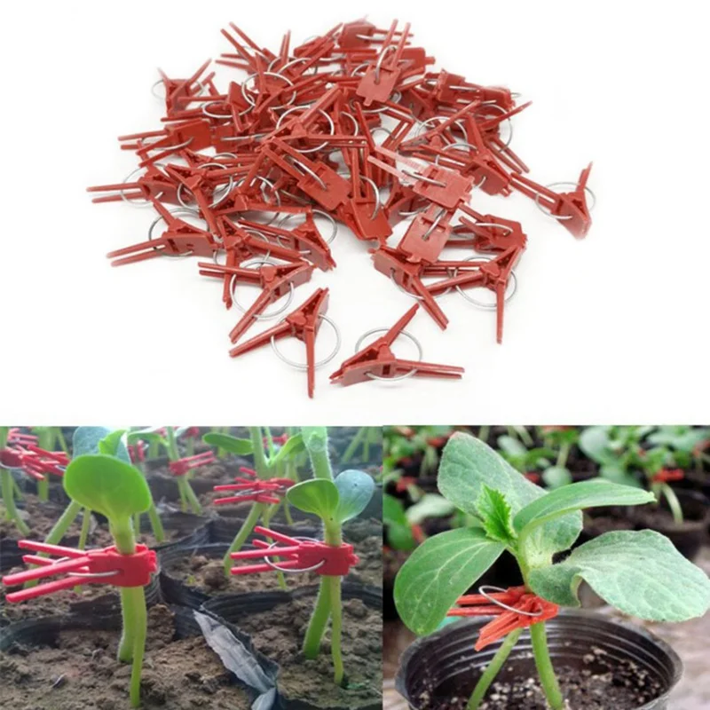 

New 50PCS Quality Plants Graft Clips Plastic fixing fastening Fixture clamp Garden Tools for Cucumber Eggplant Watermelon