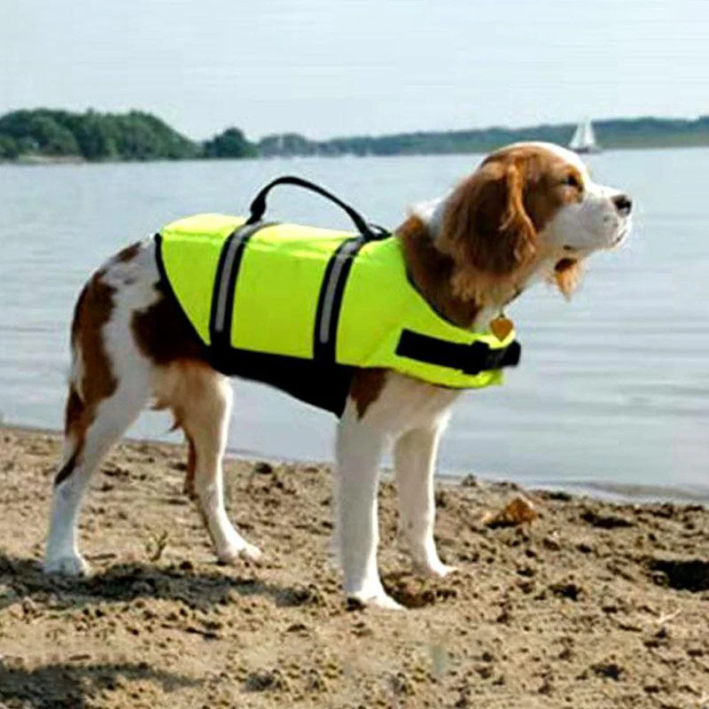 

Summer Pet Dog Life Jacket Safety Vest Reflective Surfing Swimming Harness Swimwear Vacation Oxford Breathable French Bulldog