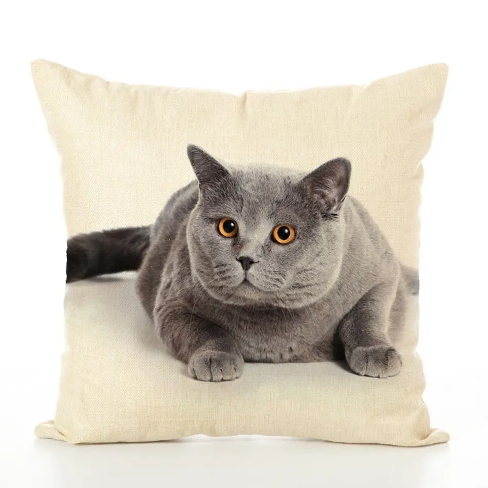 7390720218_941492023