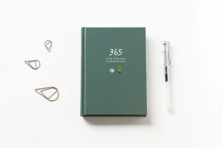 style D 365 дневная записная книжка с самостоятельным наполнением, ежедневник, органайзер, цветная внутренняя страница, годовой ежедневный блокнот, школьные канцелярские принадлежности - Цвет: style D