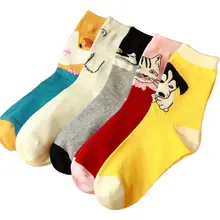 5 пар, женские хлопковые короткие носки, яркие цвета, мультяшный хомяк, животный принт, Hosery