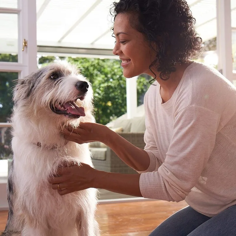 Frontline Plus для собак и кошек очистка блох клещей 1 8 кг (2 18 фунтов)|Противоглистные