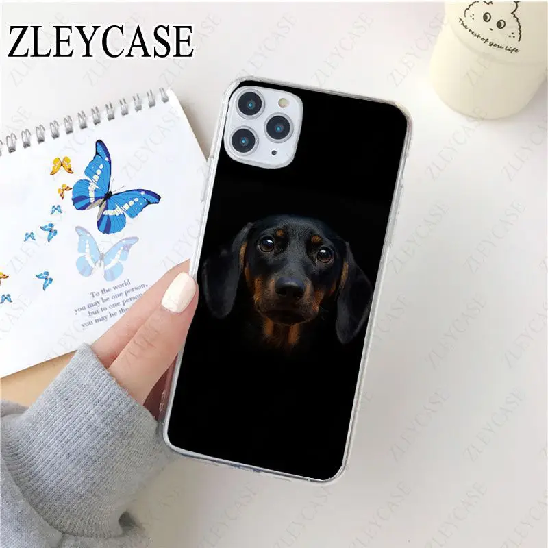 black Dachshund Doberman Dog face