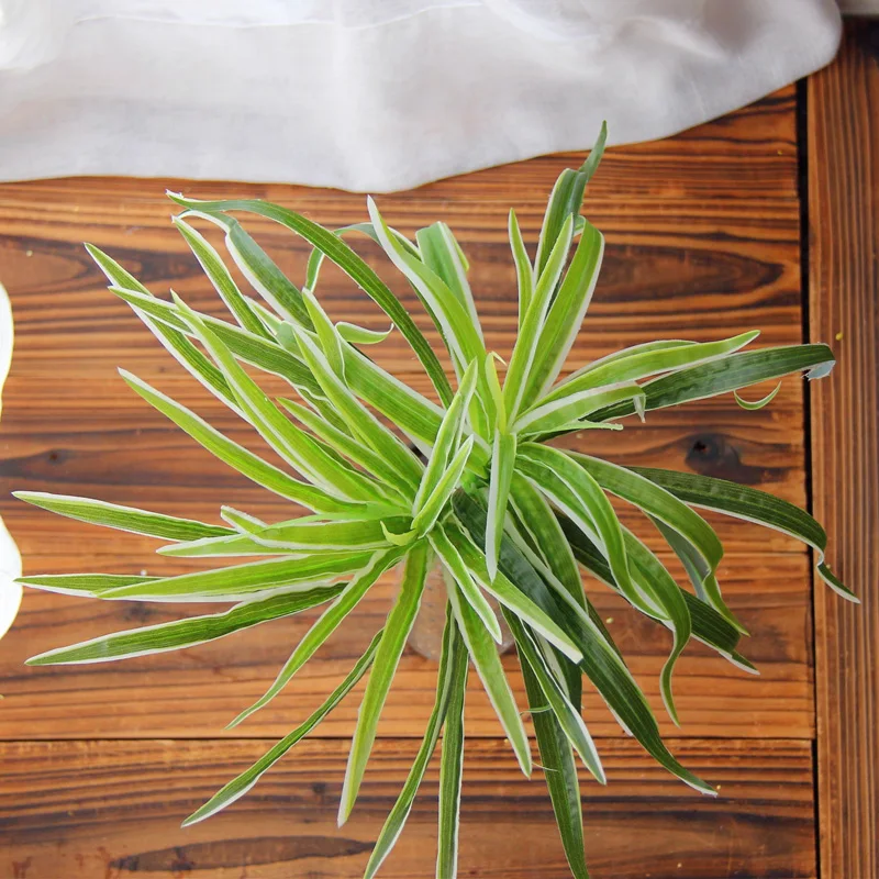 10 видов искусственных растений Крытый Открытый поддельный куст с листьями домашний офис сад Декор - Цвет: 9