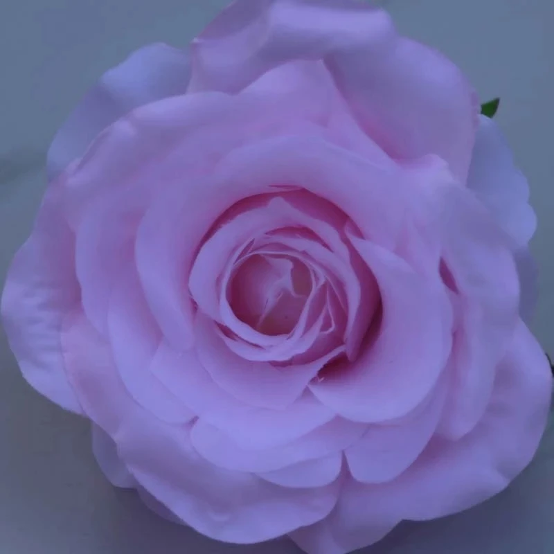 5pcs-lot-Artificial-Rose-Flower-Head-10cm-Big-Rose-Flower-for-Wedding-Party-Decoration-Wedding-Supplies.jpg_Q90.jpg_.webp (4)