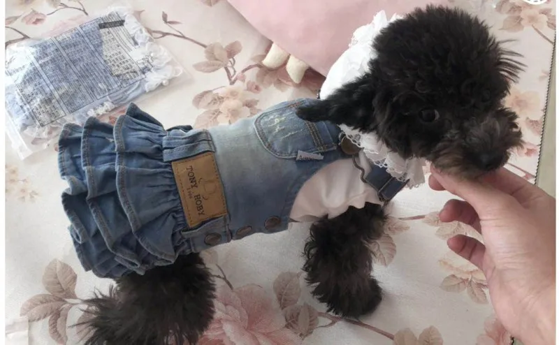 Товары для домашних животных модные джинсовые платья для собак маленький щенок чихуахуа МАЛЬТИЙСКАЯ Собака Йоркширский терьер одежда - Цвет: color 2 light blue