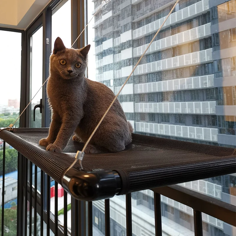 Tanio Duży kot okno hamak przyssawka