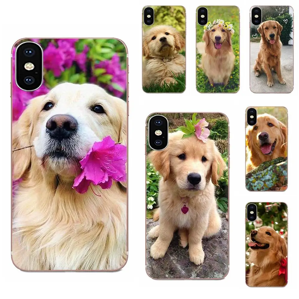Мягкие ТПУ чехлы Capa Golden Retriever мультяшная собака для Samsung Galaxy Note 5 8 9 S3 S4 S5 S6 S7 S8 S9 S10 5G