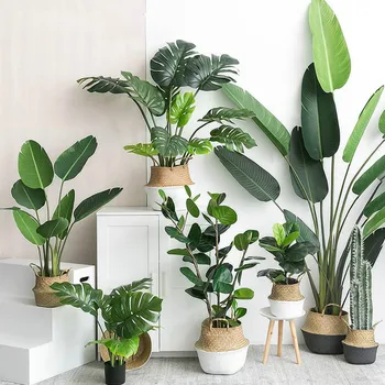 

1PC Artificial Plants Green Turtle Leaves Garden Home Decor Mexican Autumn Decoration Artificial Grass Plant Artificial Flowers
