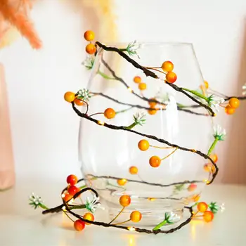 

2M 20 LED Fairy String Light Landscape Lamp Wedding Romantic fruit String Light Outdoor Battery Box Durable Festival Fairy Light