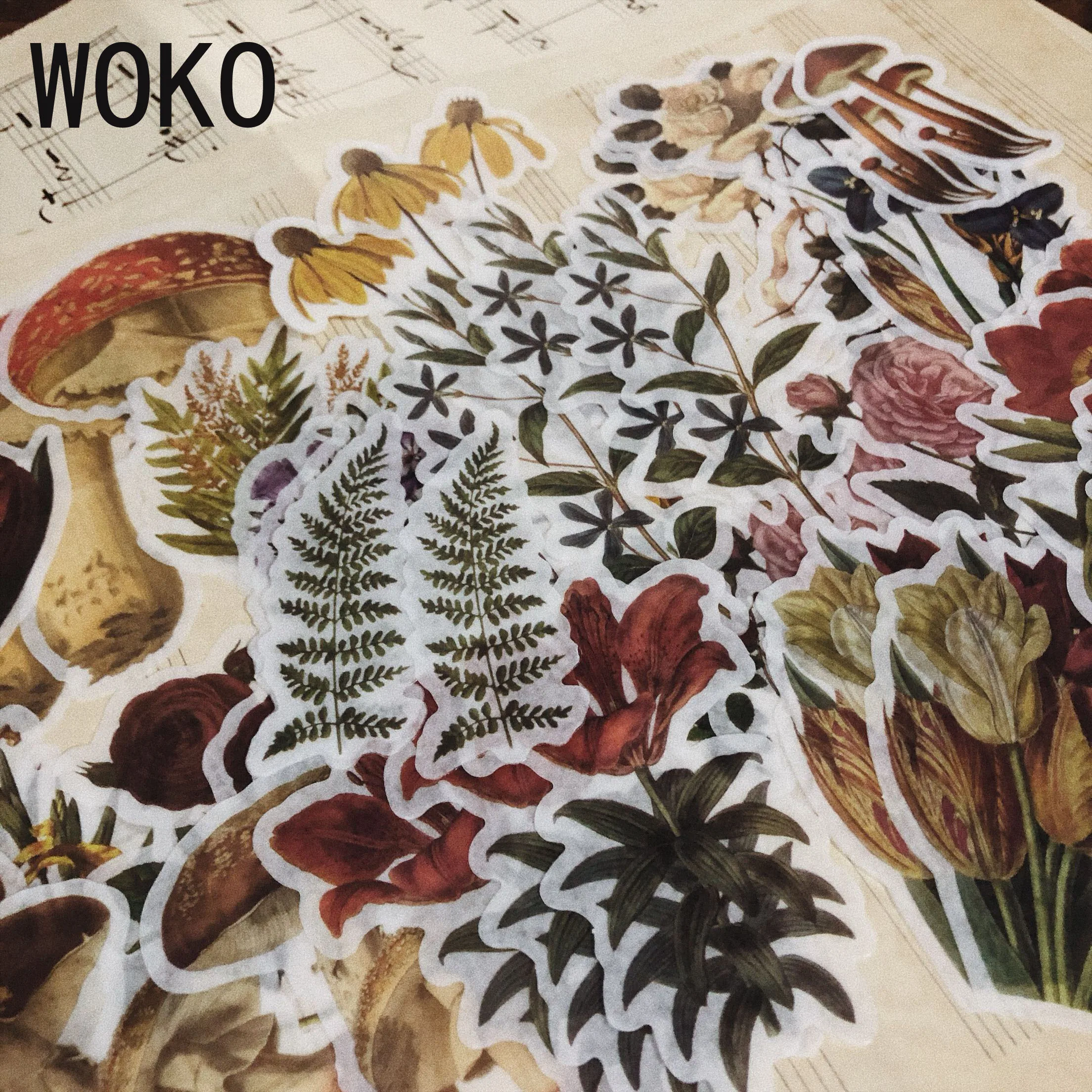 WOKO 60 шт. бронзирующие растения материал Васи стикер Ретро сушеные цветы грибки