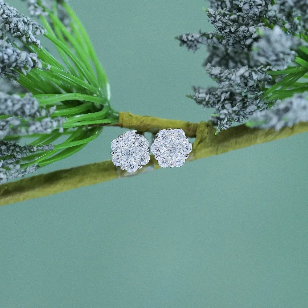 moissanite-stud-earrings-(2)