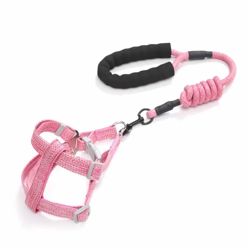 Set Cute Cartoon Pink Dog Harness Rope Adjustable Leash Leads For Small
