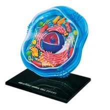 4D мастер Обучающие собранные игрушки биологический животный клеточный орган, анатомия обучения медицине для модели