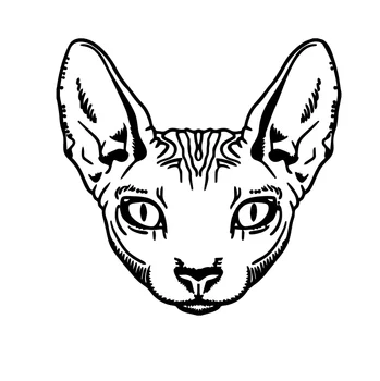 

Dawasaru Sphynx Cat Animal Car Sticker Personality Sunscreen Decal Laptop Motorcycles Auto Accessories Decoration PVC,15cm*14cm