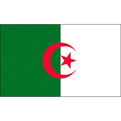 90x150 CM Algeria flag National Flag for Decoration | Дом и сад