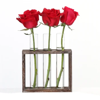 

Glass Vase Test Tube Planter Modern Flower Pots Tabletop Terrarium with Wood Stand Rack Tabletop for Home Office Cafe Decor