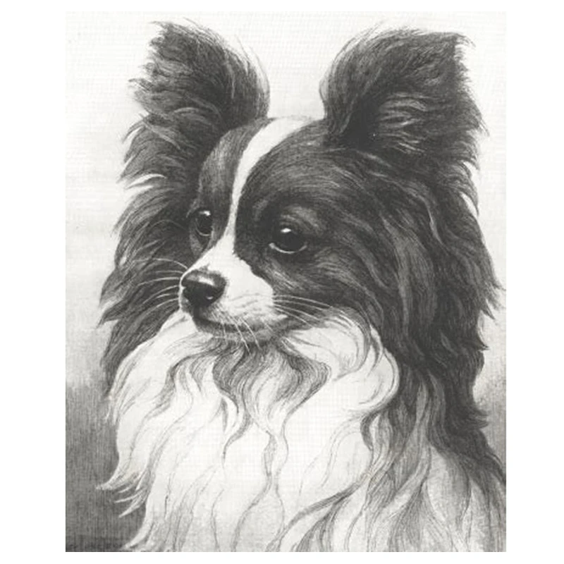 Crystal-Wall-Sticker-And-Diamond-Painting-5d-dog-decor-Black-and-White-Papillon-Dog-Picture-Embroidery