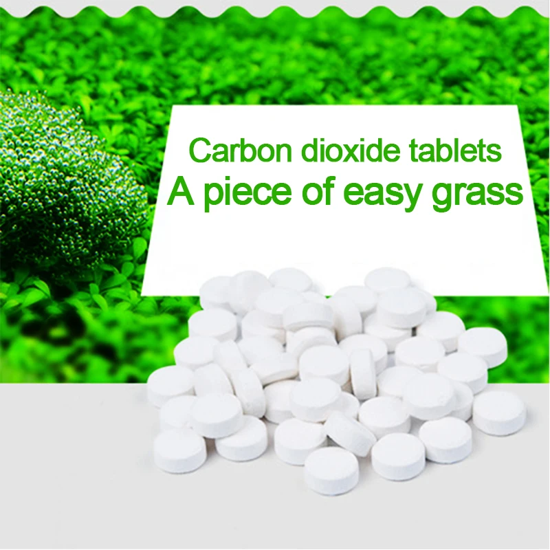 Tableta C02 de dióxido de carbono para acuario, difusor de tanque de peces, planta acuática para sala de estar, hoja de planta acuática, phytoplancton