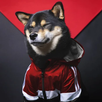 

Pet Dog French Bulldogs Clothes Hoodie Soft Fashion Sports Dog Clothes Puppy Adidog Jacket Retro Dog Coat Dog Costume ropa perro