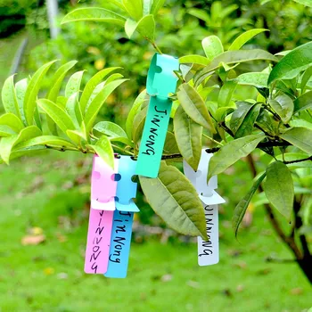 

100pcs/set Garden Plant Tags Pot Markers Plastic Stake Tied Tag Court Lawn Seed Labels Signs Garden Tool