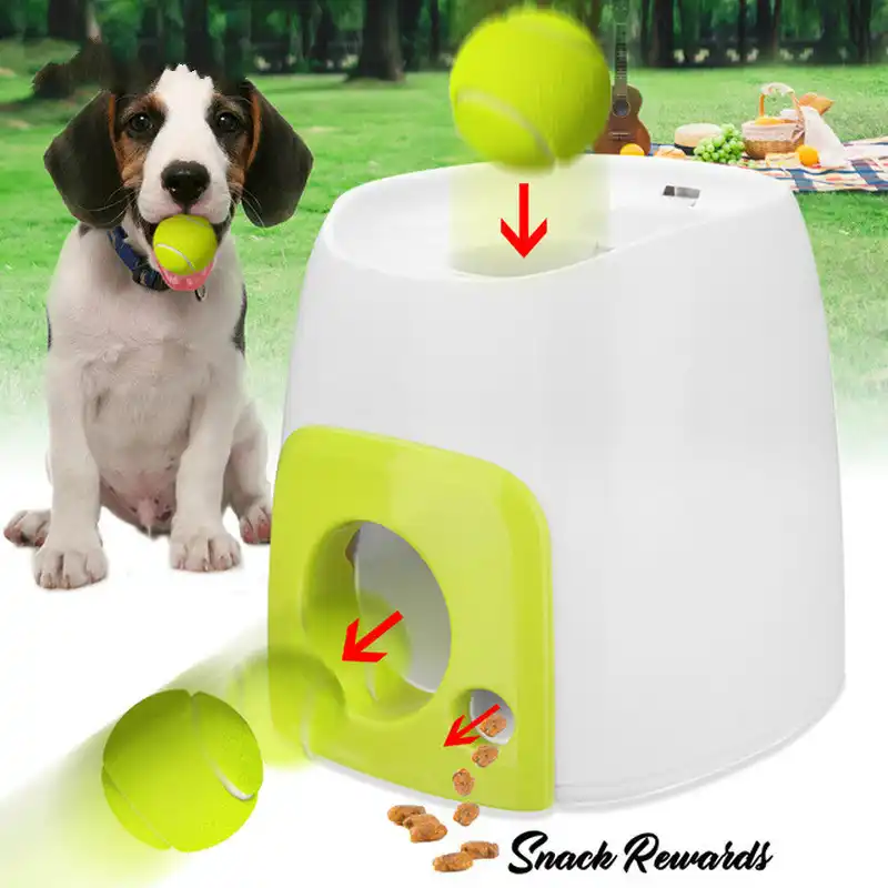 automatic ball thrower