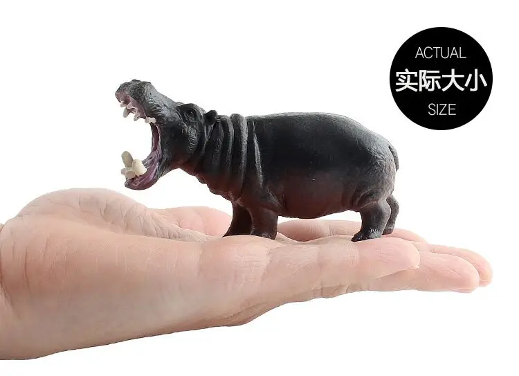 QQ图片20200621223503