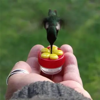Flowers Shape Handhold Bird Hummingbird Feeder Drinker Plastic Seed And Water Outdoor Window Suction Cup Bird Feeder - Image 2