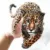 Animal Street Icon Women Men Clothes 249mm Leopard Iron On Transfer Printing Patches For Clothing T-Shirt Patch Diy 3D Stickers