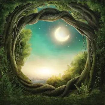 

SHENGYONGBAO Vinyl Custom Scenic Photography Backdrops Prop Fairy tale theme Photo Studio Background B19216-22