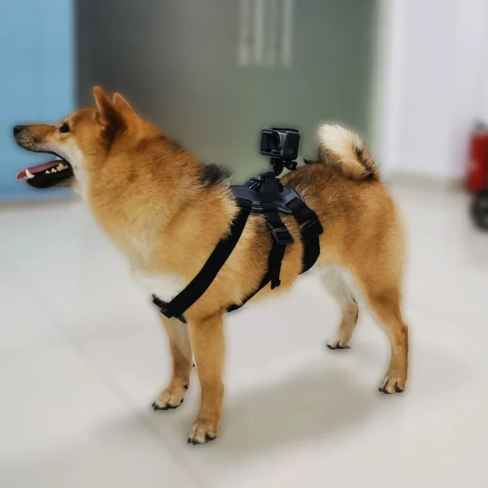 Регулируемый нагрудный ремень для собак Pet эластичный задний ремень крепление для DJI OSMO экшн-камеры OUJ99
