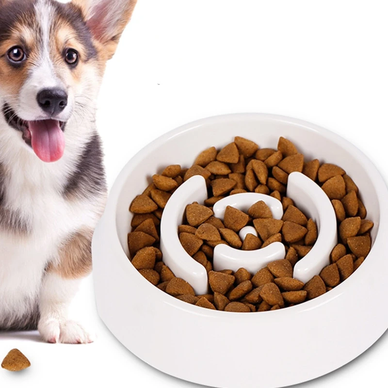 Cheap puppy stuff Clearance