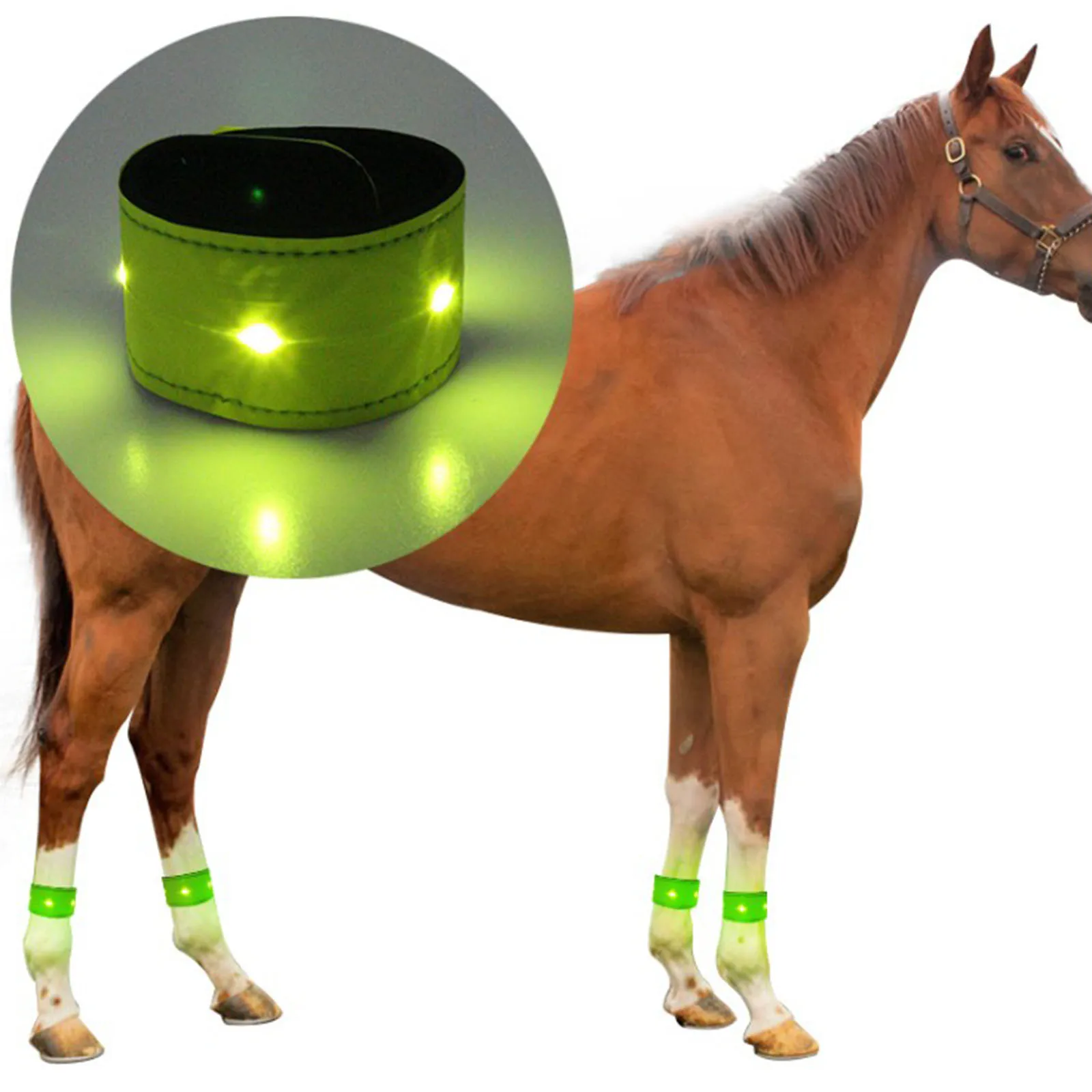 LED Luminous Horse Leg Strap Safety Warning Belts for Ankle Wrist Night Cycling